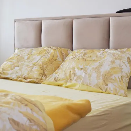 Apartment Raj Temerin